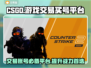 CS:GO交易哪家强？买号平台大揭秘！🔥🎮