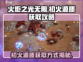 火炬之光无限🔥初火源质获取全攻略🎉