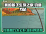 《我的孩子生命之泉》钓鱼方法大揭秘🎉