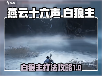 燕云十六声🔥白狼主打法攻略，轻松制胜！截图1