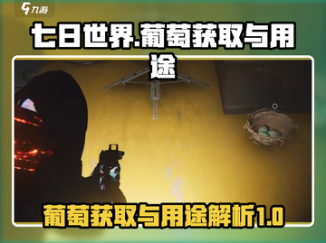 七日世界💥葡萄获取全攻略🍇玩家必看！截图1