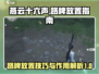 燕云十六声🔥路牌放置攻略与作用揭秘！
