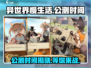 异世界慢生活公测时间🔥提前玩转游戏⚡