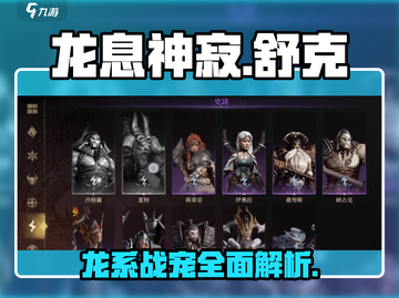 龙息神寂舒克🔥超强详细介绍来啦！🎮截图1