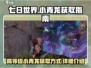 七日世界🔥高等级小青龙获取攻略龙