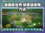 塔瑞斯世界🔥信使袋使用方法全攻略！📦