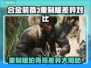 合金装备3重制版柏青哥差异大曝光！不容错过的改动点🔥Snake粉丝必看！