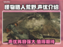 怪物猎人荒野🔥中文声优重磅揭秘！