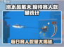 潜水员戴夫客人数量大揭秘🔥一天竟能接待这么多人！🎮