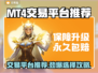 MT4交易平台推荐，游戏账号交易必看！💰🔥