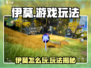 🎮伊莫怎么玩？超全玩法攻略大揭秘！