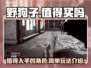 野狗子🔥超值玩法揭秘，游戏党必看！🎮