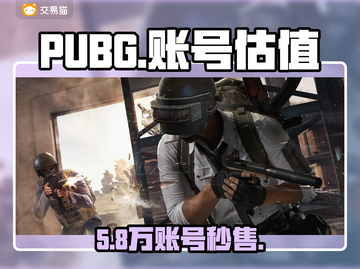 PUBG账号值多少钱？💰速看估值平台！截图1