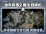 地平线西之绝境📦：仓库位置大揭秘！🔥