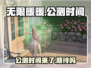 无限暖暖⚡几测了？公测时间终于公布！💥