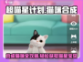 超喵星计划🐱：掌握合成表，轻松获得稀有猫咪！