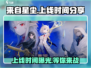 🔥来自星尘上线时间公布啦！✨游戏迷们冲鸭！🎮