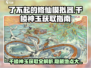 了不起的修仙模拟器💎千棱神玉获取地点大曝光！