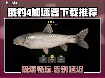 俄钓4加速器推荐，游戏流畅必备🔥🎮截图1