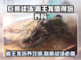 🎮巨兽战场：霸王龙🔥值得培养！恐龙迷必看👇