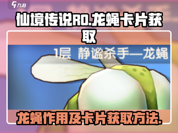 仙境传说新启航🔥龙蝇卡片获取全攻略🎉截图1