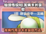 仙境传说新启航🔥龙蝇卡片获取全攻略🎉
