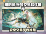 阴阳师账号交易🔥选对平台很重要！💡