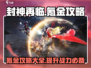 封神再临🔥无氪金攻略，轻松制胜💡