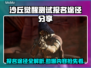 沙丘觉醒测试报名渠道大曝光！游戏内容抢先看🔥🎮