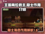 王国两位君主：隐士作用大起底！🎮🔥