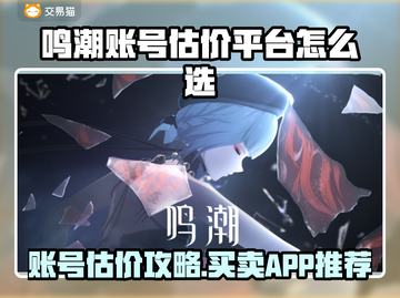 🎮鸣潮账号估价神器！买卖不踩雷💥截图1