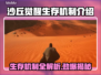 沙丘觉醒：揭秘生存机制，掌控游戏 :";
🌟🎮