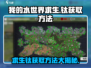 我的水世界求生钛获取方法💎轻松搞定！