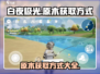 白夜极光🔥原木获取大揭秘，玩家必看！