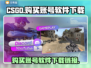 CSGO账号购买软件🔗，游戏党必看🔥