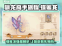 🚨驯龙高手旅程：蝶蜜龙强度爆表🔥快来看看%!