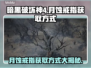 暗黑4月蚀戒指获取攻略💡轻松搞定！