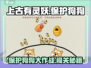 上古有灵妖🐶：保护狗狗大作战，通关秘籍在这里！