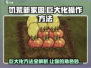 饥荒新家园💡巨大化操作方法大公开！玩家必看👇