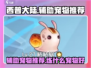 西普大陆🔥辅助宠物推荐与练宠攻略🎉
