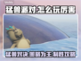 猛兽派对🔥高手攻略：这样玩超厉害！🎮