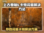 上古卷轴5闪退卡顿？⚡这招让你畅玩不中断！🎮