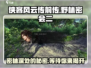 侠客风云传前传：野林密会二通关秘籍🔥💡