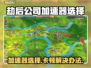 劫后公司加速器推荐🔥解决卡顿必备！🎮