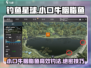 钓鱼星球🔥小口牛胭脂鱼高效钓法分享🐟
