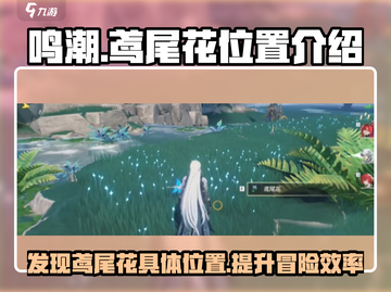 鸣潮🔥鸢尾花具体位置大曝光！速来打卡✨截图1