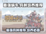 最强蜗牛🎉值得培养的兵种大揭秘！