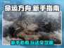 命运方舟🔥新手必看！玩法攻略大公开🎉