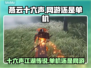 燕云十六声🔥：网游还是单机？真相揭秘！