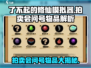了不起的修仙模拟器🔥拍卖会问号物品全揭秘！新手必看攻略